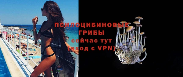 прущая мука Арсеньев