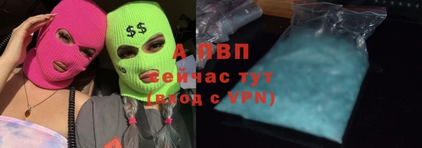 дживик Аркадак