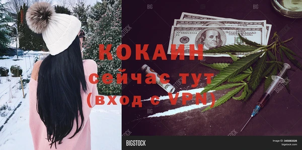 дживик Аркадак