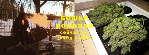 прущая мука Арсеньев