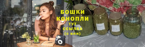 дживик Аркадак